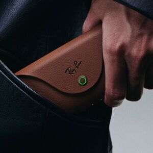 Ray-Ban Tan Glasses Case